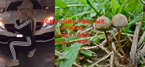 меф Арсеньев